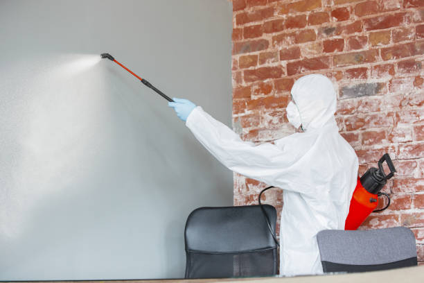 Best Post-Remediation Verification Testing  in Beaver Falls, PA