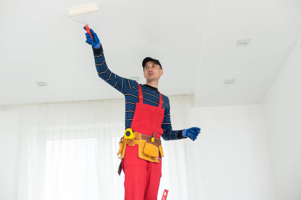 Best Asbestos and Lead Testing During Mold Inspection  in Beaver Falls, PA
