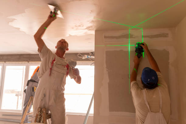Environmental Consulting for Mold Prevention in Beaver Falls, PA