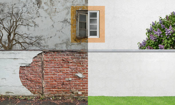 Best Environmental Consulting for Mold Prevention  in Beaver Falls, PA